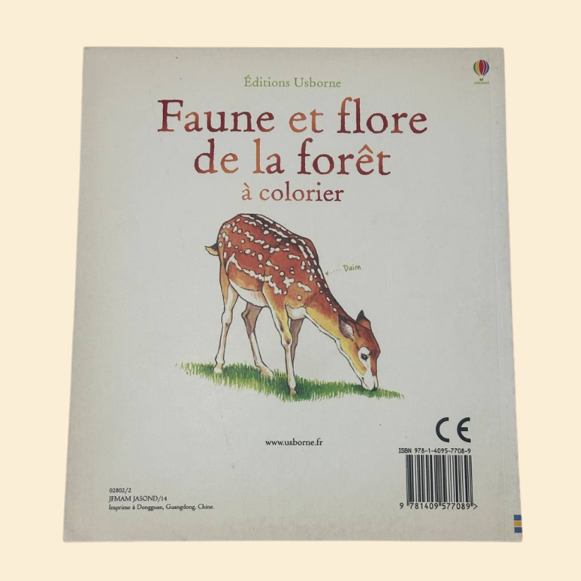 Faune et Flore de la forêt à colorier