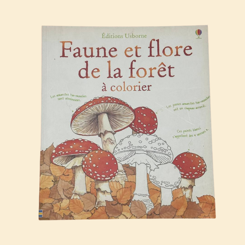Faune et Flore de la forêt à colorier