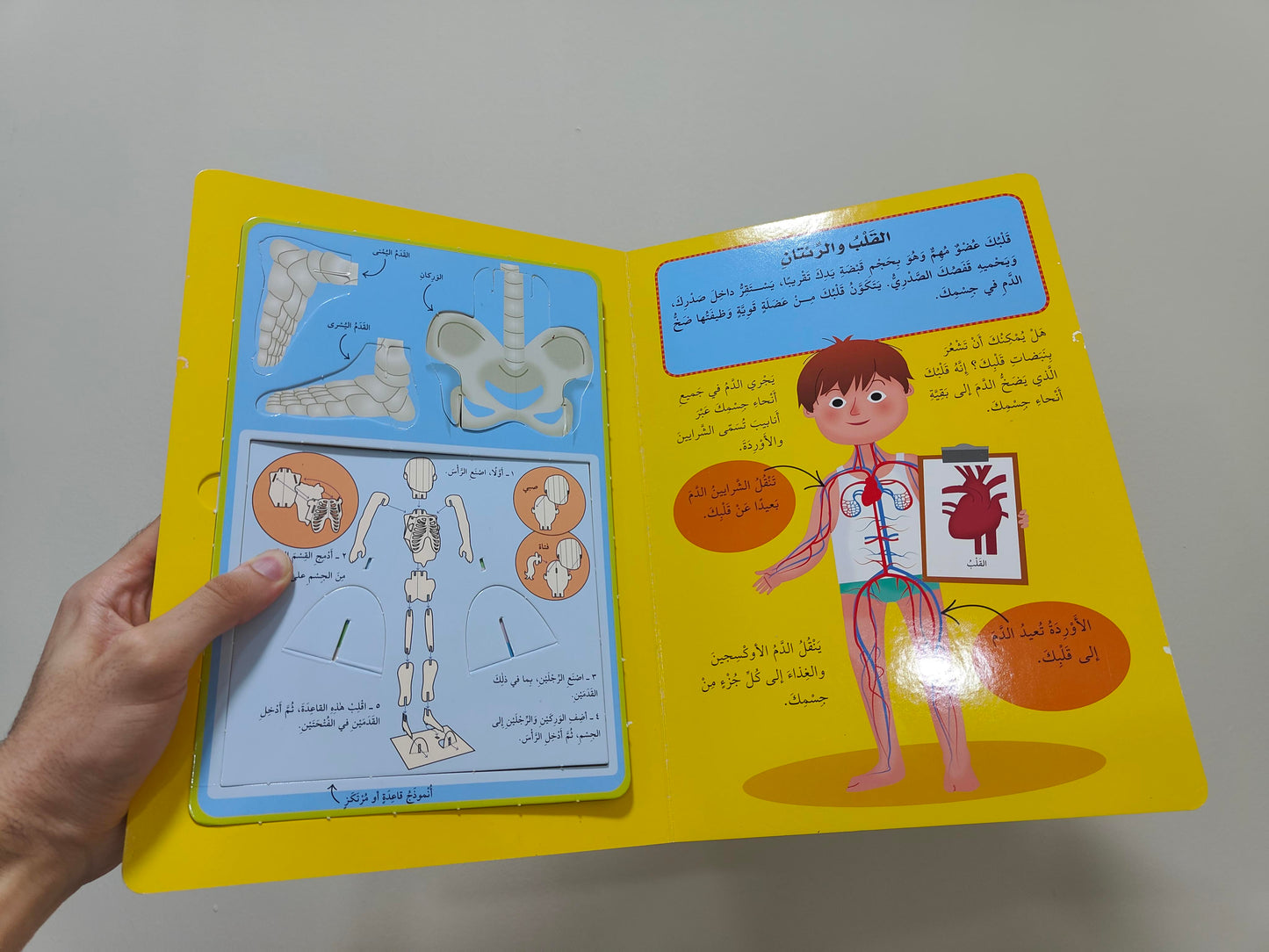 كتاب 'أنموذج جسم الانسان ' مع مجسم (3D) + Cadeau Surprise