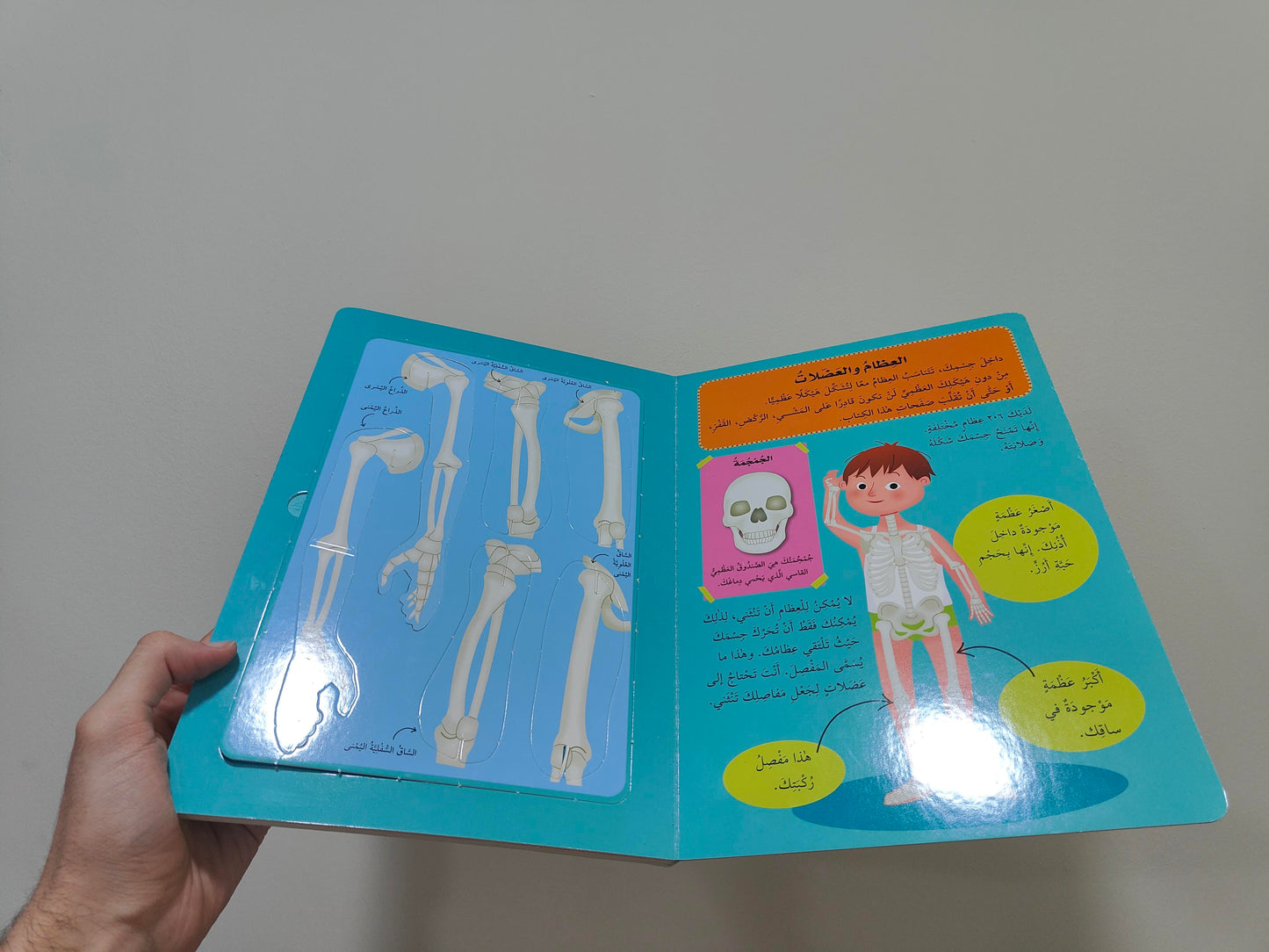كتاب 'أنموذج جسم الانسان ' مع مجسم (3D) + Cadeau Surprise